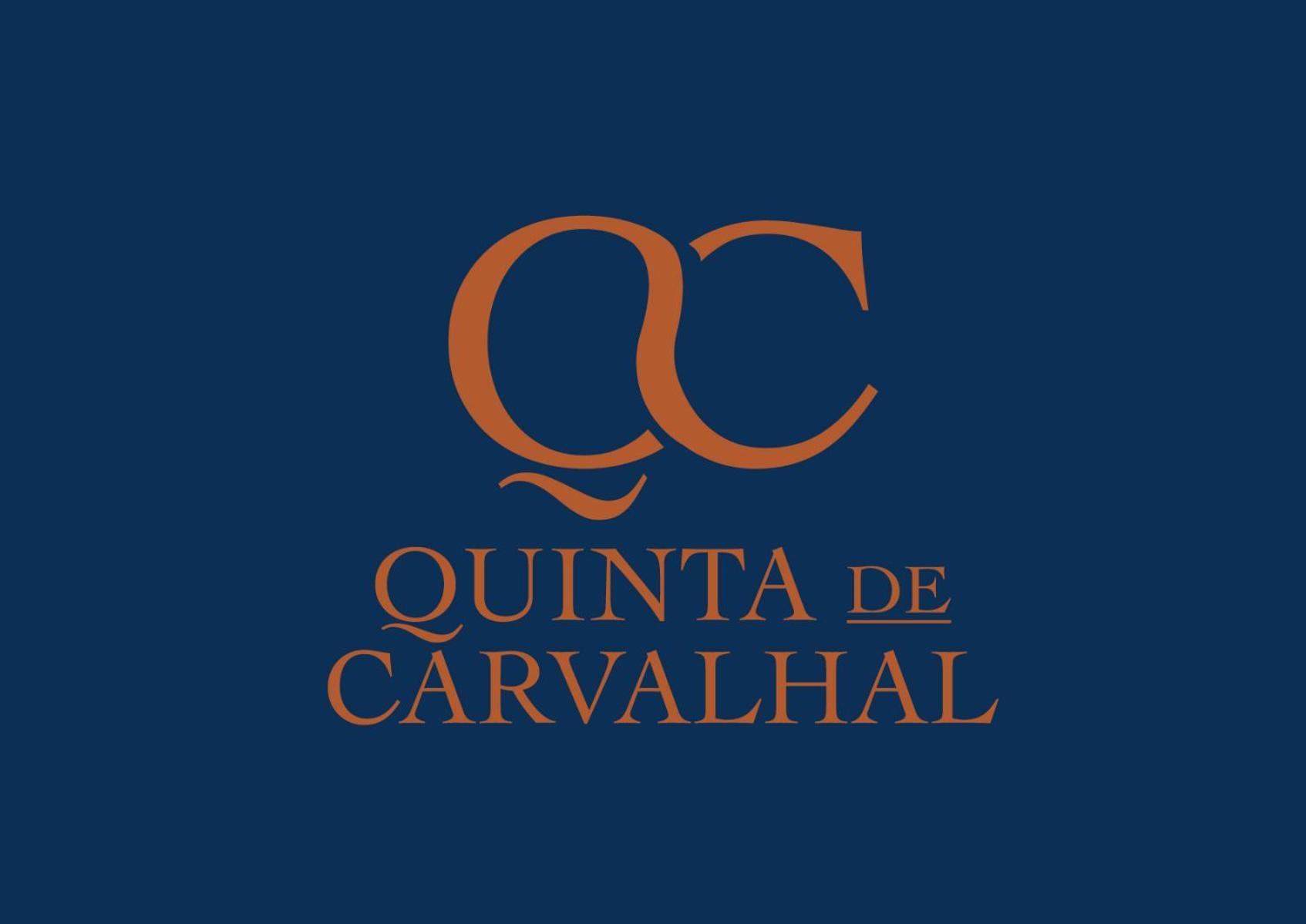 Quinta De Carvalhal - Casa Da Vinha Villa Guimaraes Luaran gambar