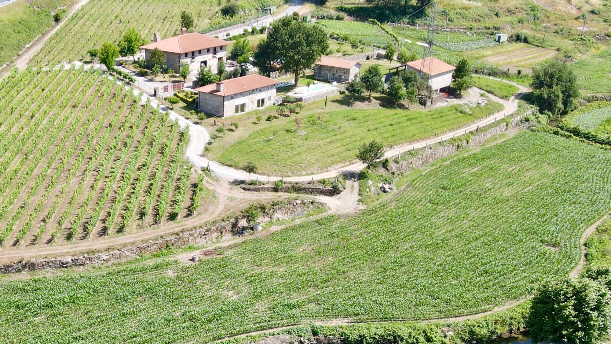 Quinta De Carvalhal - Casa Da Vinha Villa Guimaraes Luaran gambar